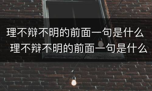 理不辩不明的前面一句是什么 理不辩不明的前面一句是什么意思