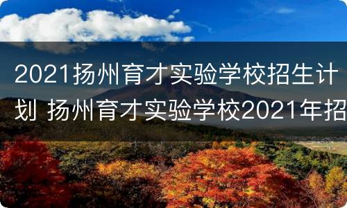 2021扬州育才实验学校招生计划 扬州育才实验学校2021年招生