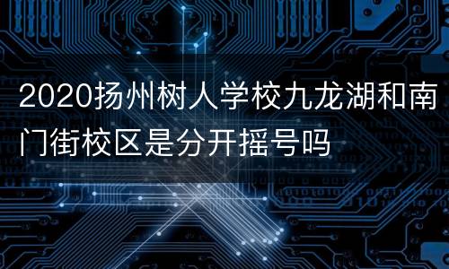 2020扬州树人学校九龙湖和南门街校区是分开摇号吗