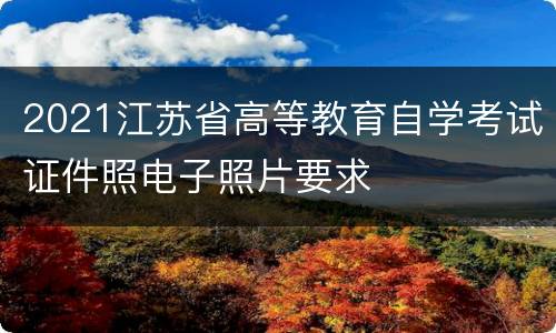 2021江苏省高等教育自学考试证件照电子照片要求