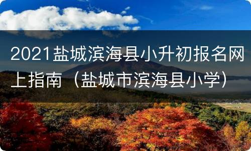 2021盐城滨海县小升初报名网上指南（盐城市滨海县小学）