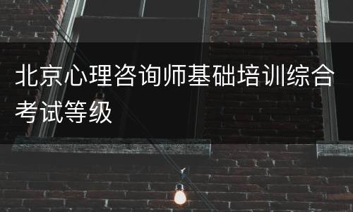 北京心理咨询师基础培训综合考试等级