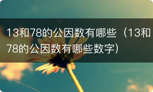 13和78的公因数有哪些（13和78的公因数有哪些数字）