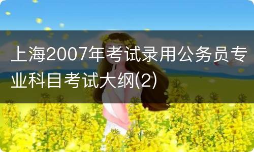 上海2007年考试录用公务员专业科目考试大纲(2)