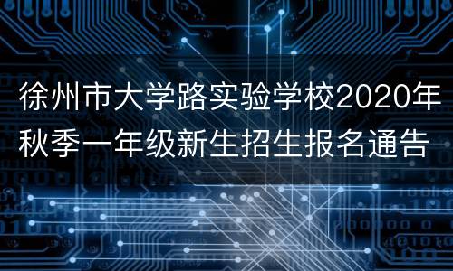 徐州市大学路实验学校2020年秋季一年级新生招生报名通告