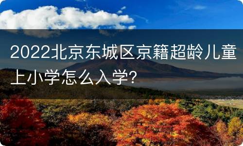 2022北京东城区京籍超龄儿童上小学怎么入学？