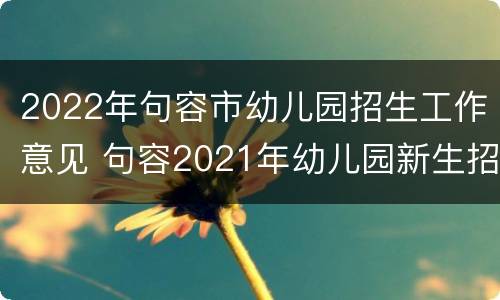 2022年句容市幼儿园招生工作意见 句容2021年幼儿园新生招生