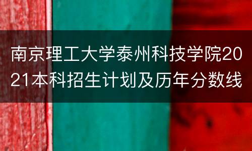 南京理工大学泰州科技学院2021本科招生计划及历年分数线