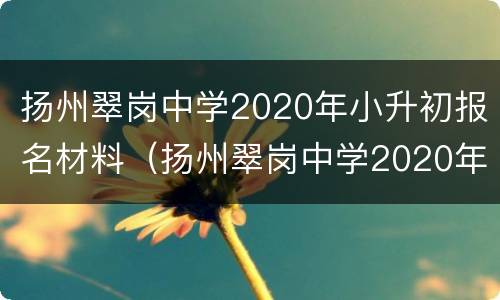 扬州翠岗中学2020年小升初报名材料（扬州翠岗中学2020年小升初报名材料是什么）