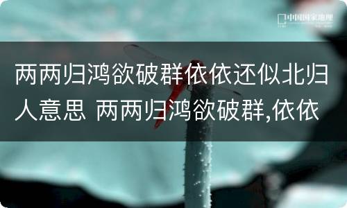 两两归鸿欲破群依依还似北归人意思 两两归鸿欲破群,依依还似北归