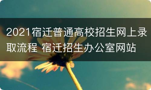 2021宿迁普通高校招生网上录取流程 宿迁招生办公室网站