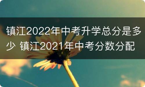 镇江2022年中考升学总分是多少 镇江2021年中考分数分配