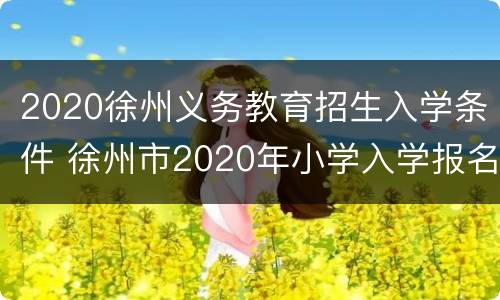 2020徐州义务教育招生入学条件 徐州市2020年小学入学报名条件