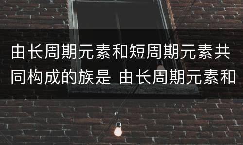 由长周期元素和短周期元素共同构成的族是 由长周期元素和短周期元素共同构成的族是什么