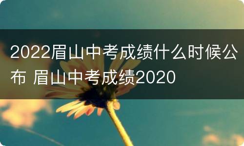 2022眉山中考成绩什么时候公布 眉山中考成绩2020