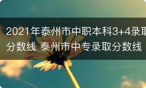 2021年泰州市中职本科3+4录取分数线 泰州市中专录取分数线