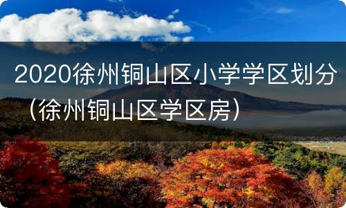 2020徐州铜山区小学学区划分（徐州铜山区学区房）