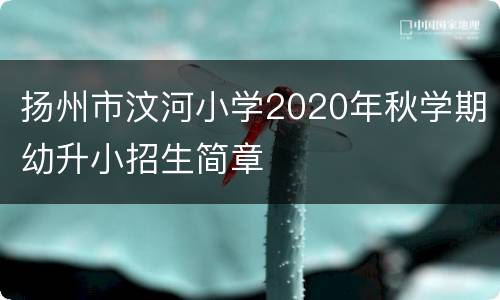 扬州市汶河小学2020年秋学期幼升小招生简章