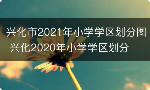 兴化市2021年小学学区划分图 兴化2020年小学学区划分