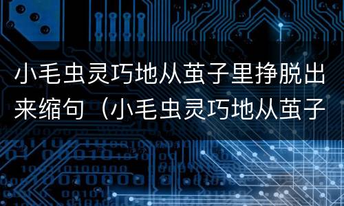 小毛虫灵巧地从茧子里挣脱出来缩句（小毛虫灵巧地从茧子里挣脱出来缩句怎么写）