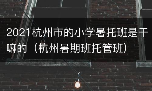 2021杭州市的小学暑托班是干嘛的（杭州暑期班托管班）