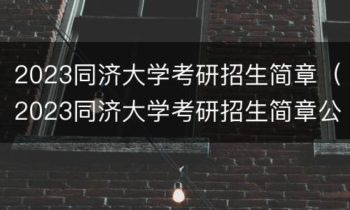 2023同济大学考研招生简章（2023同济大学考研招生简章公布）