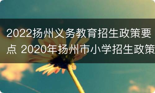 2022扬州义务教育招生政策要点 2020年扬州市小学招生政策