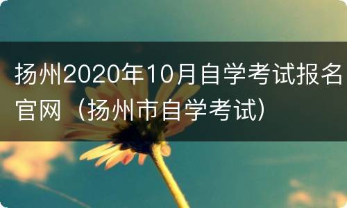 扬州2020年10月自学考试报名官网（扬州市自学考试）