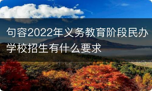 句容2022年义务教育阶段民办学校招生有什么要求