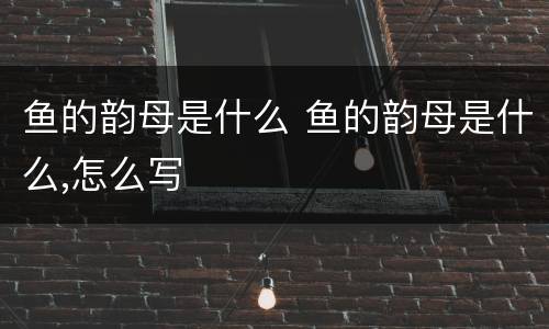 鱼的韵母是什么 鱼的韵母是什么,怎么写