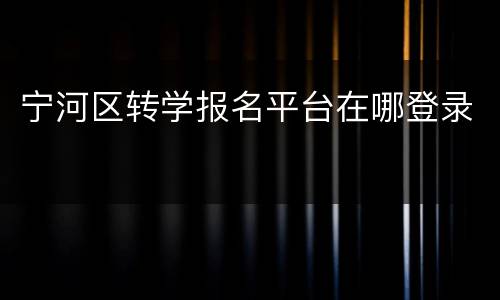 宁河区转学报名平台在哪登录