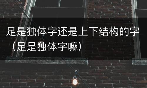 足是独体字还是上下结构的字（足是独体字嘛）