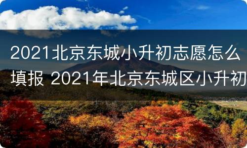 2021北京东城小升初志愿怎么填报 2021年北京东城区小升初