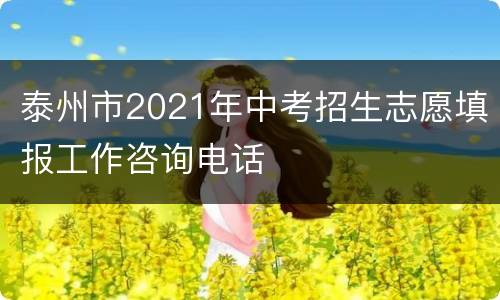 泰州市2021年中考招生志愿填报工作咨询电话