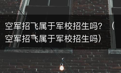 空军招飞属于军校招生吗？（空军招飞属于军校招生吗）