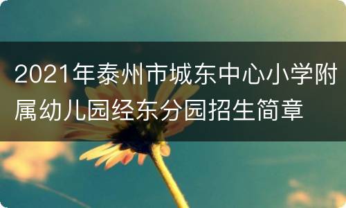 2021年泰州市城东中心小学附属幼儿园经东分园招生简章