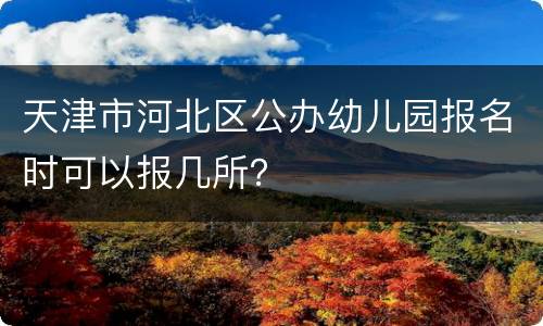 天津市河北区公办幼儿园报名时可以报几所？