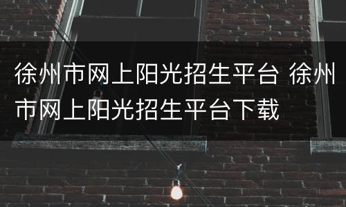 徐州市网上阳光招生平台 徐州市网上阳光招生平台下载