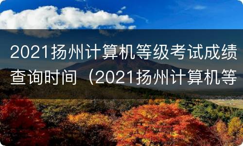 2021扬州计算机等级考试成绩查询时间（2021扬州计算机等级考试成绩查询时间表）