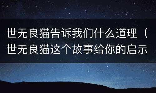 世无良猫告诉我们什么道理（世无良猫这个故事给你的启示是）