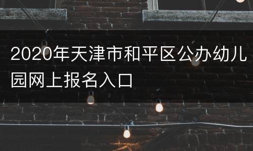 2020年天津市和平区公办幼儿园网上报名入口