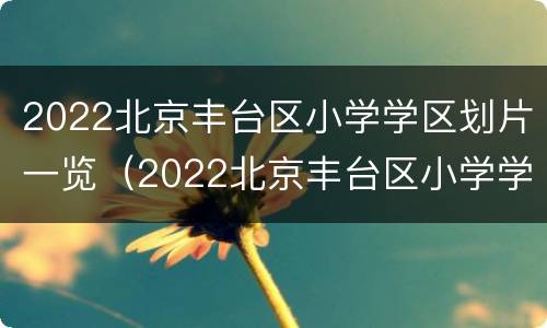 2022北京丰台区小学学区划片一览（2022北京丰台区小学学区划片一览表图片）