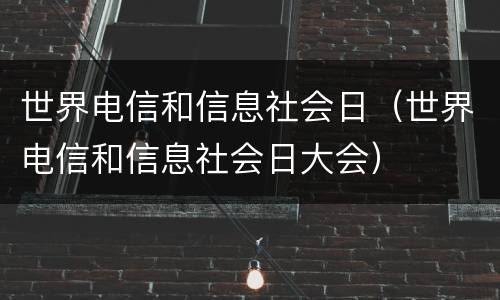 世界电信和信息社会日（世界电信和信息社会日大会）