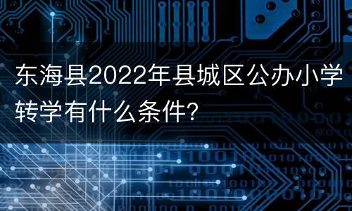 东海县2022年县城区公办小学转学有什么条件？