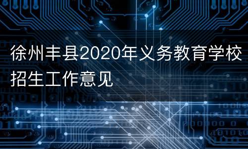 徐州丰县2020年义务教育学校招生工作意见