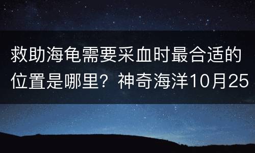 救助海龟需要采血时最合适的位置是哪里？神奇海洋10月25日答案